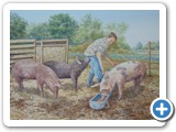 C-Henry tending his pigs